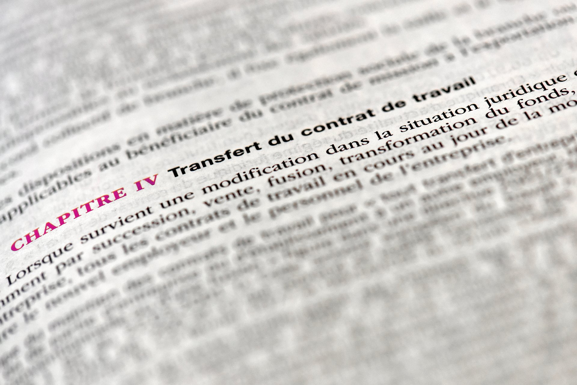 Texte de loi
